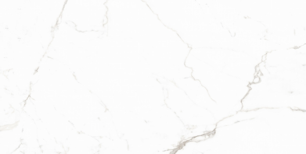 Керамогранит Maimoon Ceramica Carving 12053R 120х60 см 5099157. Фото 1
