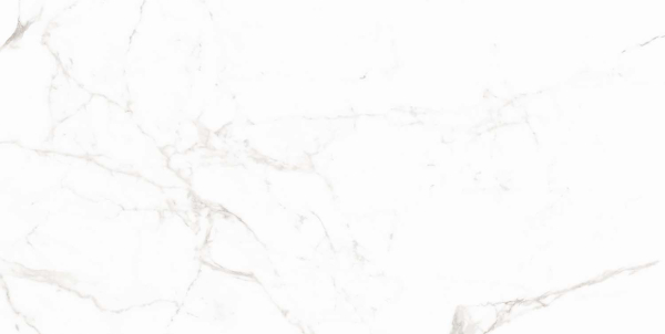 Керамогранит Maimoon Ceramica Carving 12053R 120х60 см 5099157. Фото 4