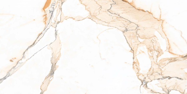 Керамогранит Maimoon Ceramica Carving 12161R 120x60 см 5099160. Фото 3