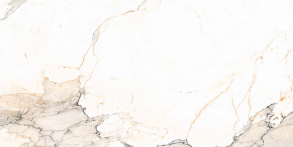 Керамогранит Maimoon Ceramica Carving 12161R 120x60 см 5099160. Фото 4