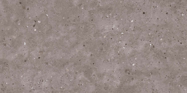 Керамогранит Maimoon Ceramica Carving Cronos cool grey 120х60 см 5334712. Фото 2