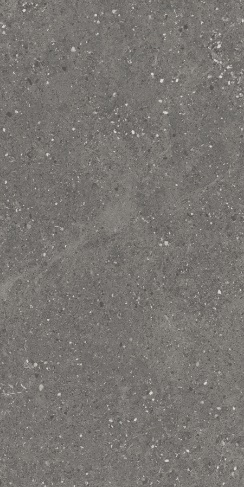 Керамогранит Maimoon Ceramica Carving Marilia Nero 120х60 см 6260010. Фото 1