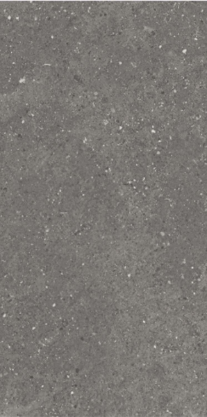 Керамогранит Maimoon Ceramica Carving Marilia Nero 120х60 см 6260010. Фото 4