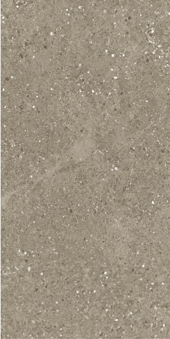 Керамогранит Maimoon Ceramica Carving Marilia Olive 120х60 см 6260009. Фото 1