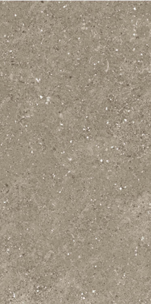Керамогранит Maimoon Ceramica Carving Marilia Olive 120х60 см 6260009. Фото 3