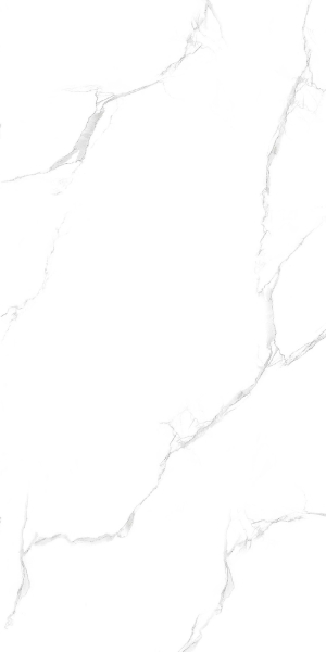 Керамогранит Maimoon Ceramica Maimoon Silver satuario 120х60 см 5099151. Фото 1