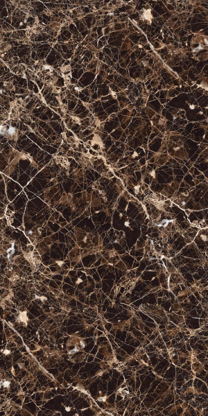 Керамогранит Maimoon Ceramica HG Glossy Emperador grand brown 120х60 см 5334755. Фото 1