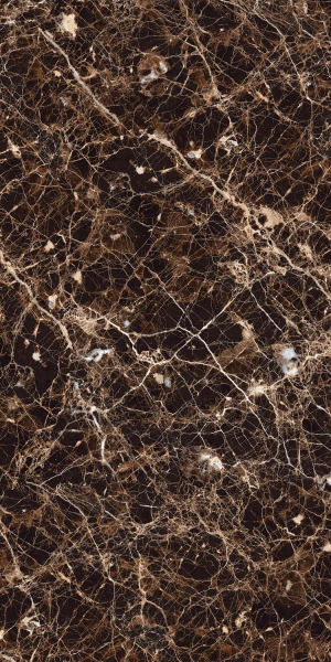 Керамогранит Maimoon Ceramica HG Glossy Emperador grand brown 120х60 см 5334755. Фото 2