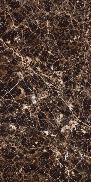 Керамогранит Maimoon Ceramica HG Glossy Emperador grand brown 120х60 см 5334755. Фото 3