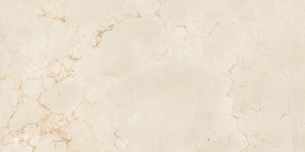 Керамогранит Maimoon Ceramica Itacid criox moss 120х60 см 5334721. Фото 1