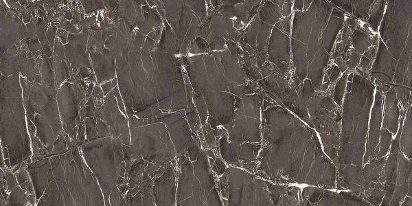 Керамогранит Maimoon Ceramica Itacid delux black 120х60 см 5334723. Фото 2