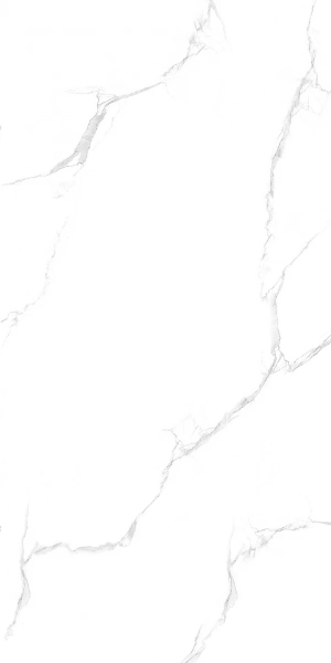 Керамогранит Maimoon Ceramica Maimoon Silver satuario 120х60 см 5099151. Фото 1